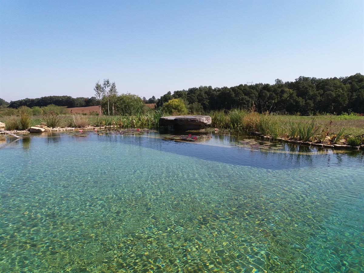 3. Platz - Kategorie Swimming-Teich - Firma: Chagall Giardini SNC - Arch. Anja Werner